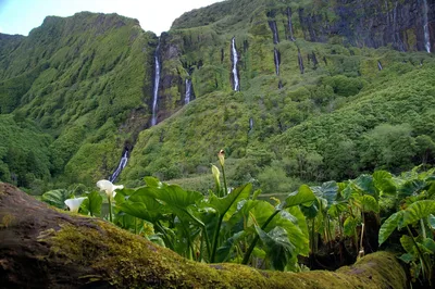 Flores waterfall and lake tour scenery