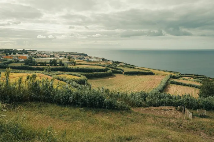 Terraced Azores fields above the Atlantic Ocean