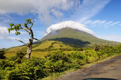 Mount Pico rising above vineyards and the Atlantic ocean