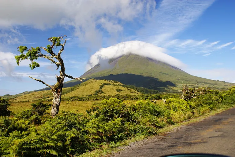 Mount Pico rising above vineyards and the Atlantic ocean