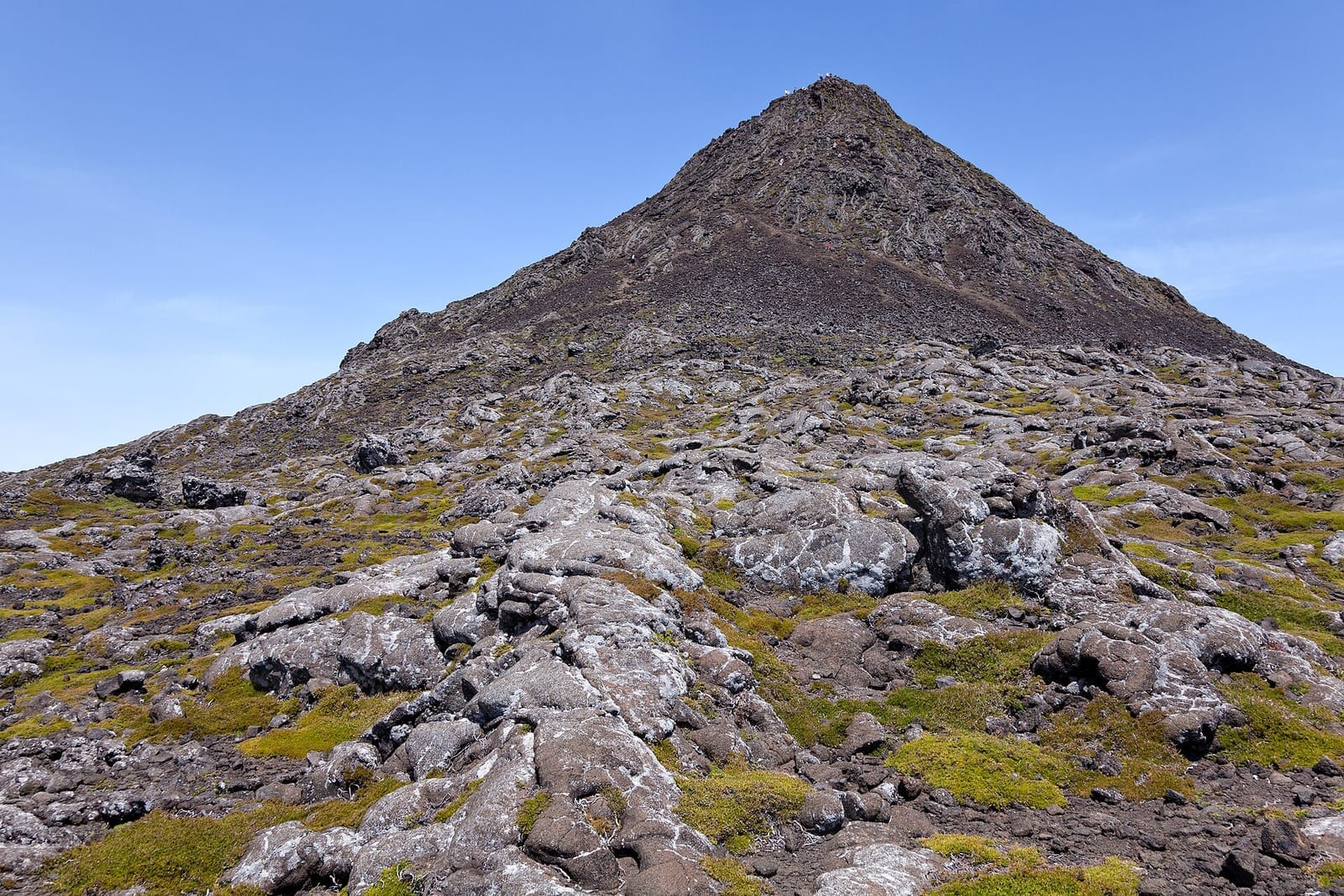The summit cone of Pico rising above the lava field